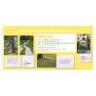Spruchkarten "Baum, Weg, Blumenwiese, Fröhlich"