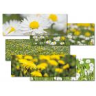 15er Karten-Set Blühstreifen "Sommer" (je 3 x 5 Motive)
