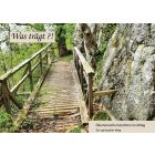 "Was trägt?!" - Ökumenische Exerzitien im Alltag (München 2024) - Ein spiritueller Weg